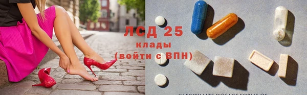 ГАЛЛЮЦИНОГЕННЫЕ ГРИБЫ Приозерск