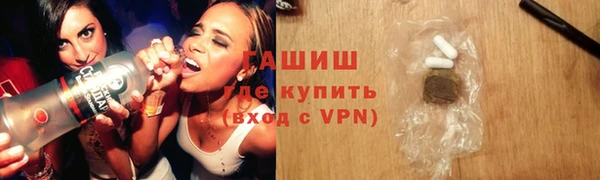 мдпв Гусев