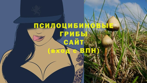 ГАЛЛЮЦИНОГЕННЫЕ ГРИБЫ Приозерск