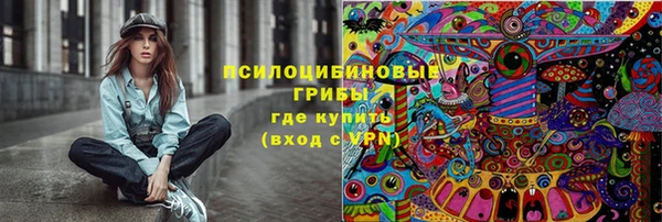 спайс Пролетарск