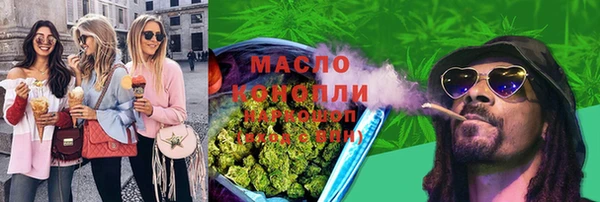 шишки Гусь-Хрустальный