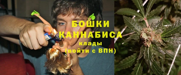 ГАЛЛЮЦИНОГЕННЫЕ ГРИБЫ Приозерск