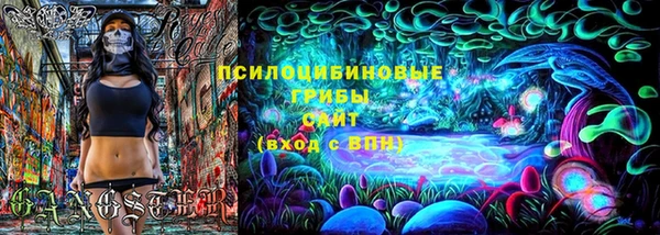 2c-b Протвино