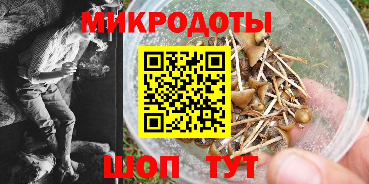 Псилоцибиновые грибы GOLDEN TEACHER Темрюк
