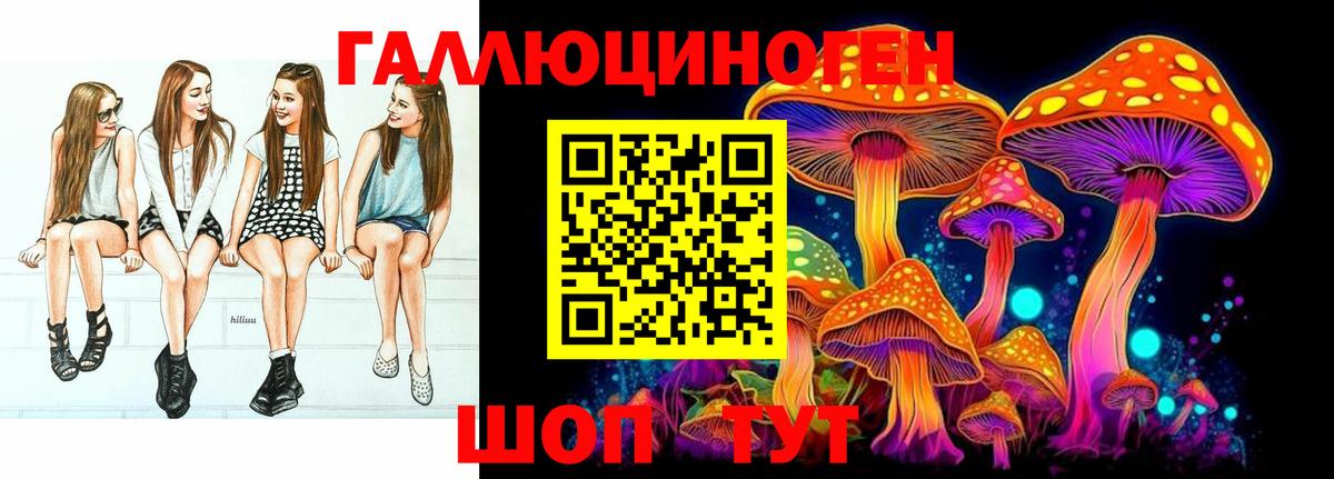 Темрюк  Псилоцибиновые грибы MAGIC MUSHROOMS  Вход с VPN  что такое наркотик  Псилоцибиновые грибы прущие грибы 